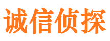 洪山侦探社